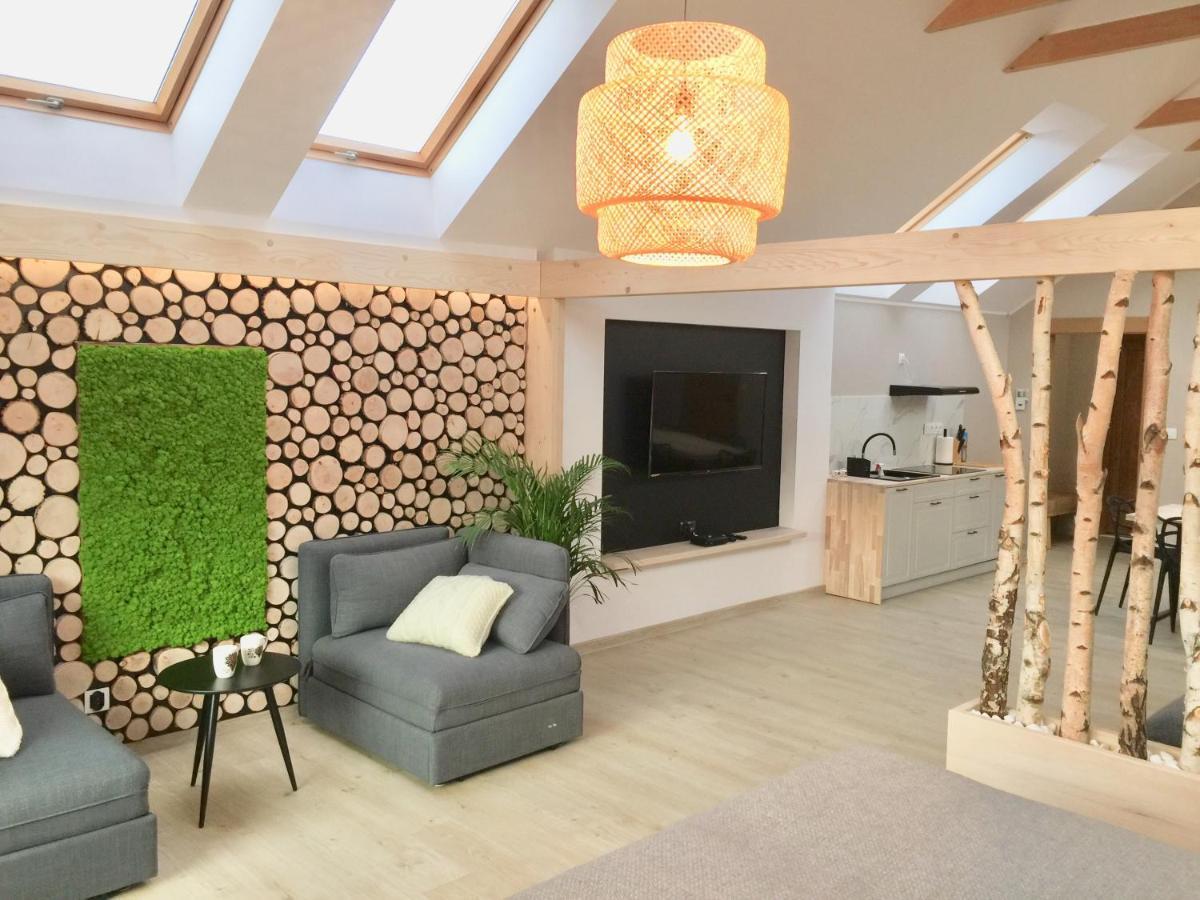 Willa Wojcik Apartamenty I Pokoje Сромовце-Ніжне Екстер'єр фото